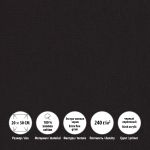 Холст грунтованный на подрамнике 20х30 см, 240 г/м², 2 шт, PERESLAVL BLACK EDITION мелкозернистый, Vista-Artista ACBF-2030