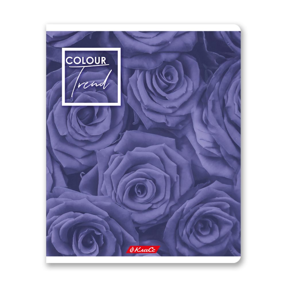 Тетрадь ученическая общая A5+ 48 л. на скобе, белизна 100%, 10 шт, клетка, 000308 Черничный рай, Светоч 48ТСК5_1_3_1