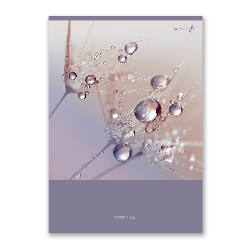 Тетрадь ученическая общая, A4 96 л. на скобе 65 г/м², белизна 100 %, 6 шт, клетка, 01351 Утренняя роса, Светоч Т156