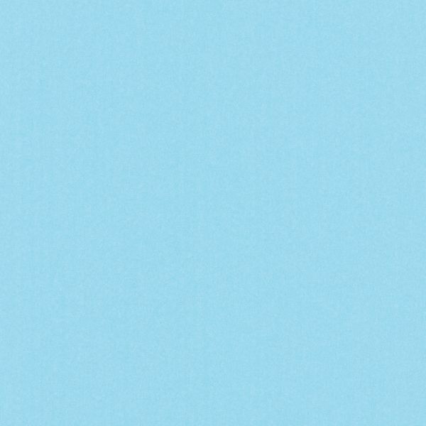 Бумага цветная 120 г/м², A4 21х29.7 см, 50 шт, 21 голубой лед/ice blue, Vista-Artista