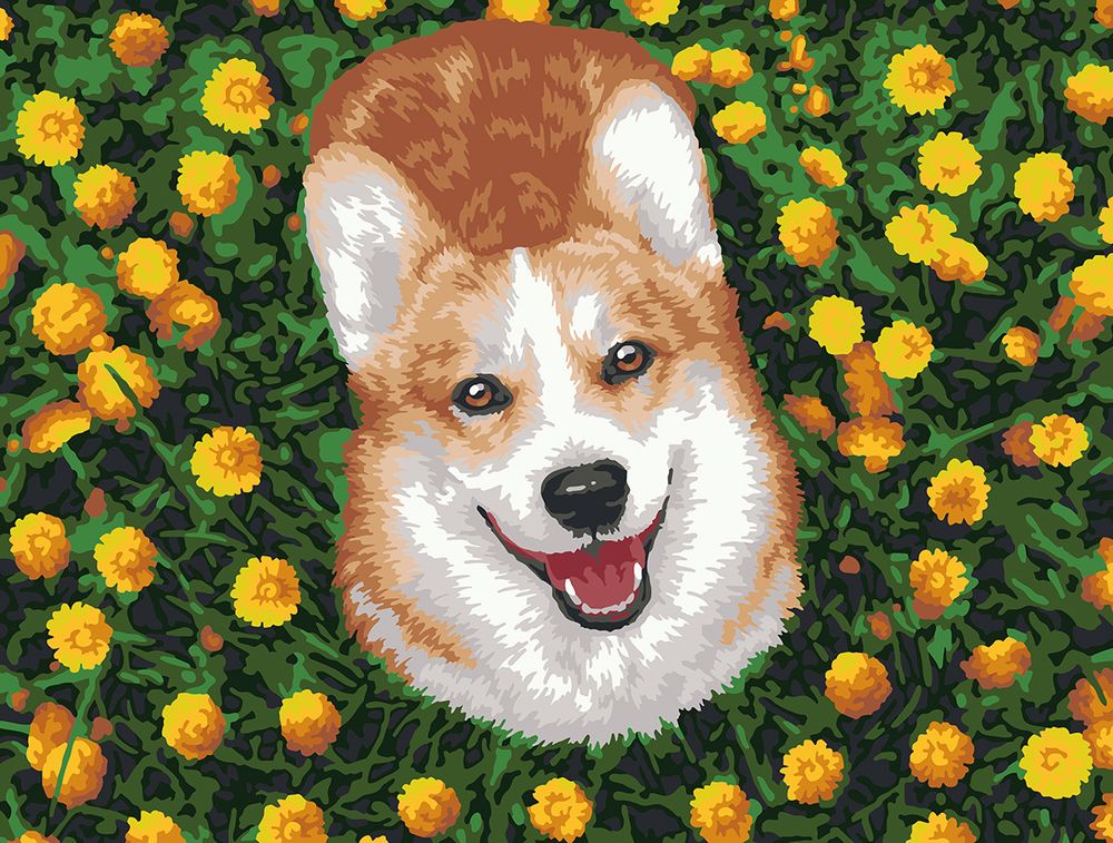 Картина по номерам Фрея, Радостный корги, 40х30 см