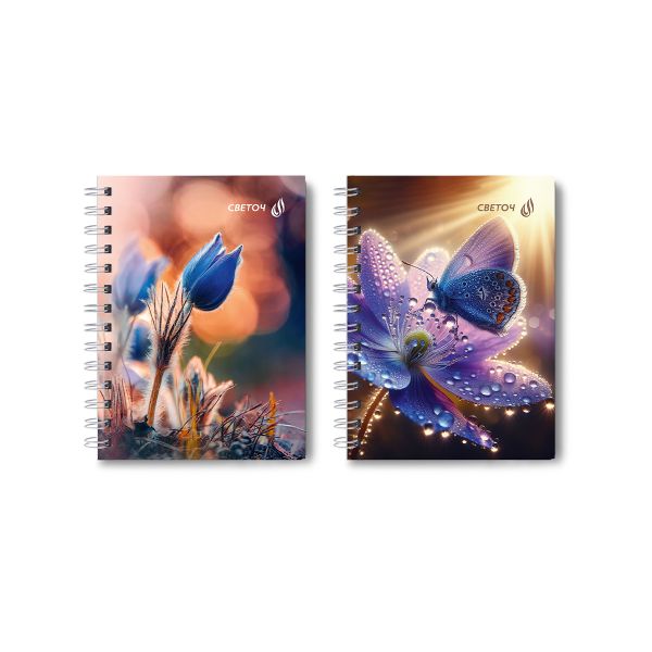 Записная книжка с твердым переплетом, глянцевая ламинация, на гребне A6 80 л. 4 шт клетка, Встреча на рассвете 01587, ЗК221 Светоч