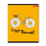 Тетрадь ученическая общая, выборочный лак, A5+ 48 л. на скобе, белизна 100%, 10 шт, клетка, 000316 В лето за мечтой, Светоч 48ТСК5_4_3_1