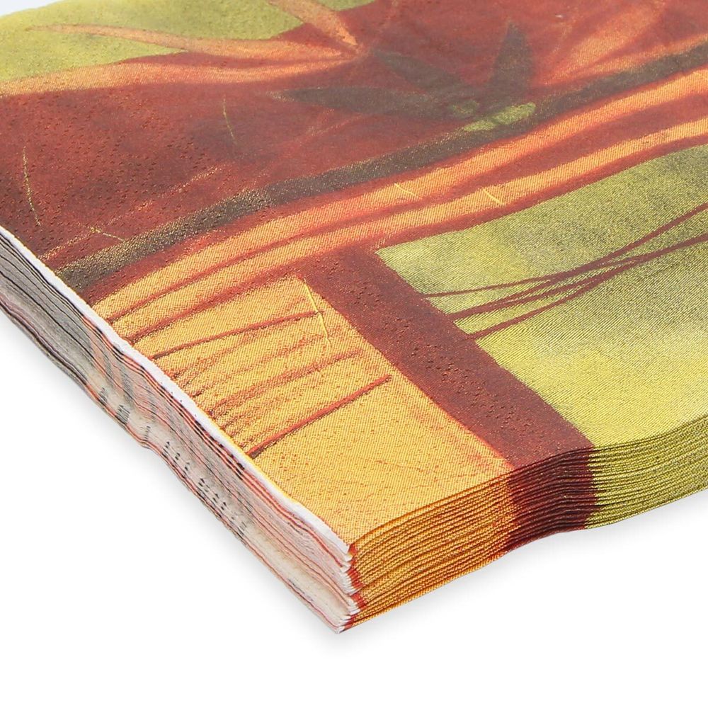 Салфетки 33х33см, 2-х слойные AY, 20 шт/упак (AY-2004)