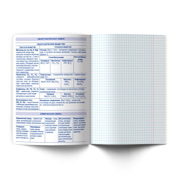 Тетрадь со справочным материалом Большая перемена, выбор.лак, A5 48 л. на скобе 65 г/м², белизна 100% 10 шт клетка, 01818 Большая перемена Химия, Светоч Т280