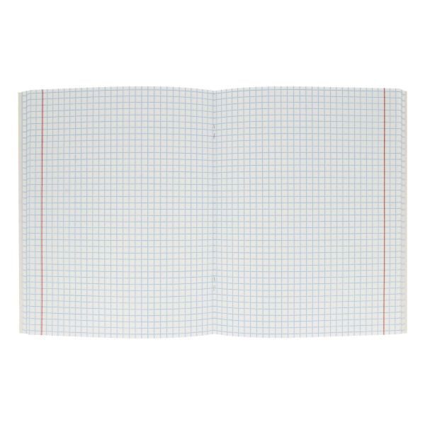 Тетрадь Ботаника A5 96 л. на скобе 60 г/м², 6 шт, клетка, SVT 960621 04 полоски, цветы, Светоч