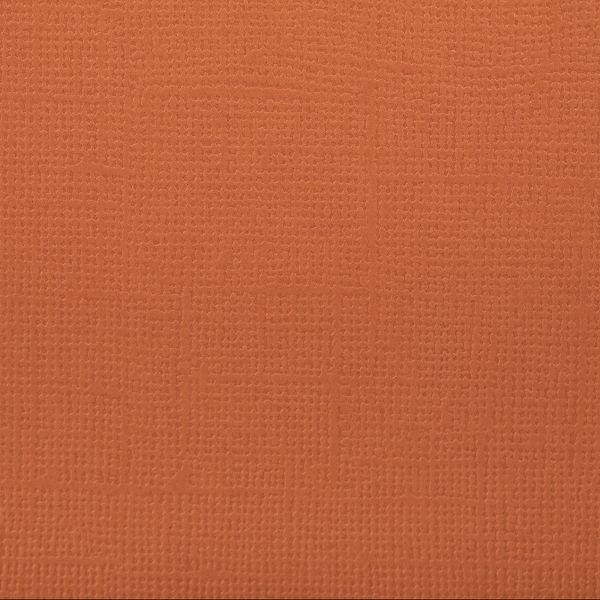 Бумага для скрапбукинга 216 г/м², 30.5х30.5 см, 10 шт, 54 Корица (рыже-коричневый), Mr.Painter PST