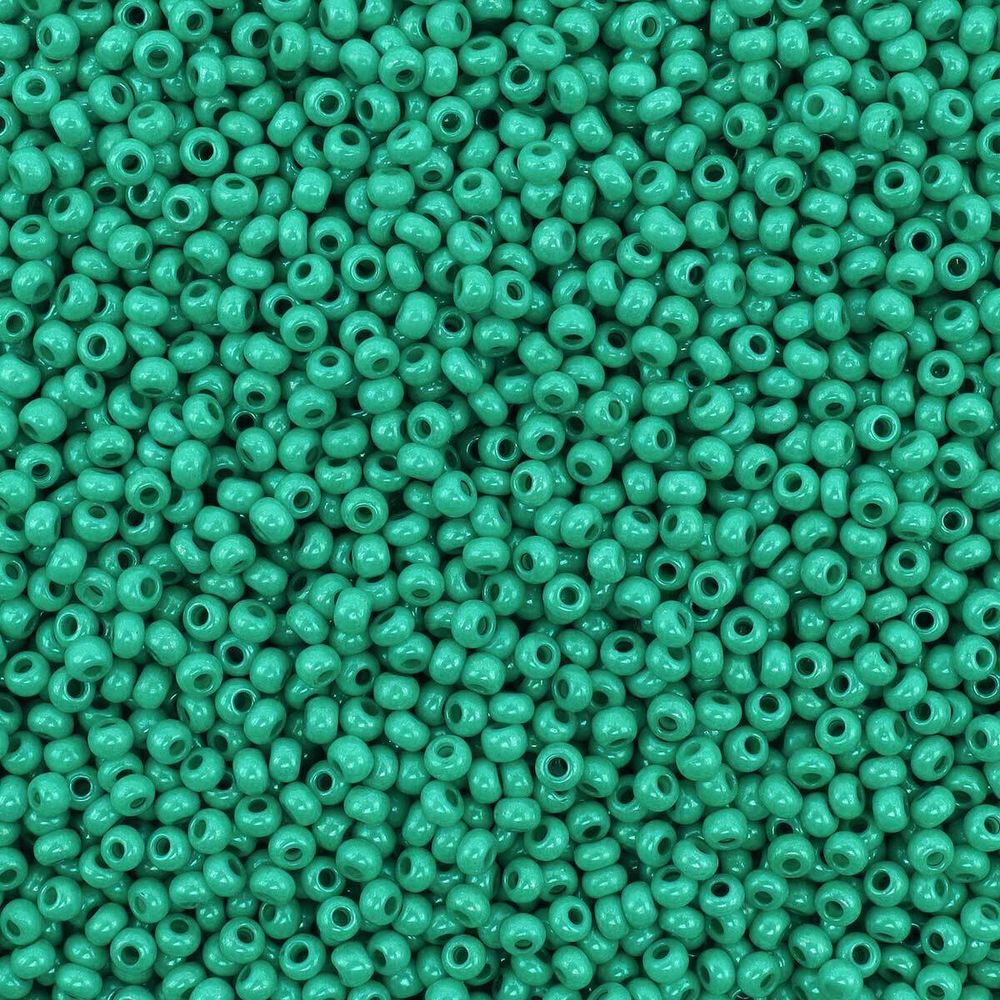 Бисер Preciosa цветной мелованный 10/0 (2.3 мм), круг.отв, 50 г, (16A58)