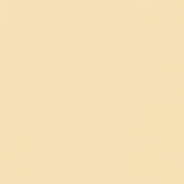 Бумага цветная 120 г/м², A4 21х29.7 см, 50 шт, 23 кремовый/cream, Vista-Artista