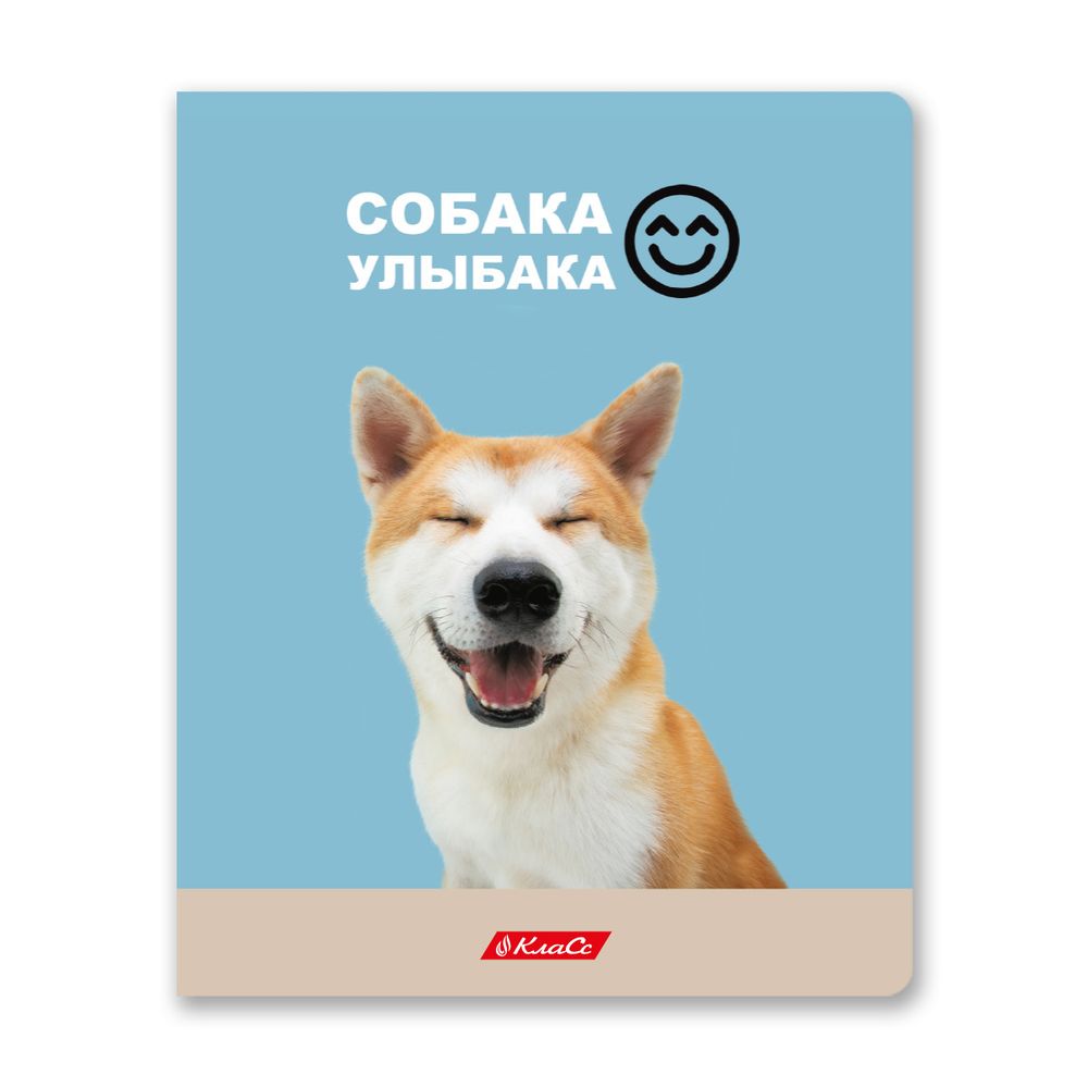 Тетрадь ученическая общая, A5+ 48 л. на скобе, белизна 100%, 10 шт, клетка, 000334 Ужасно милые, Светоч 48ТСК5_3_1