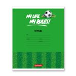 Тетрадь ученическая школьная A5+ 24 л. на скобе, белизна 100% 30 шт, клетка, 000372 Мячики, Светоч 24ТСКд5_1_3_1