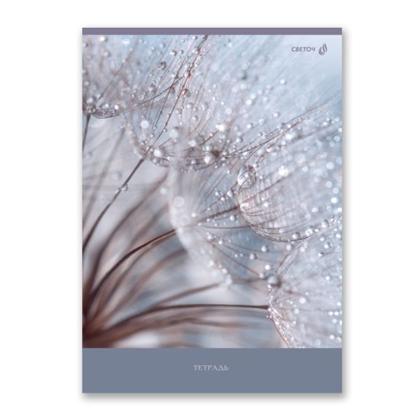 Тетрадь ученическая общая, A4 96 л. на скобе 65 г/м², белизна 100 %, 6 шт, клетка, 01351 Утренняя роса, Светоч Т156