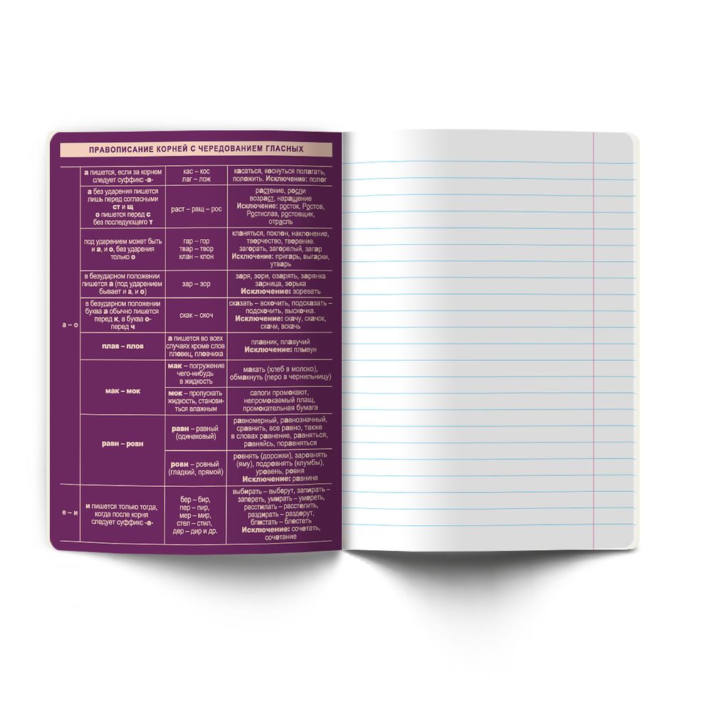 Тетрадь со справочным материалом Лёгким почерком, софт-тач ламинация, A5 48 л. на скобе 65 г/м², белизна 100% 10 шт линия, 01846 Лёгким почерком Русский язык, Светоч Т285