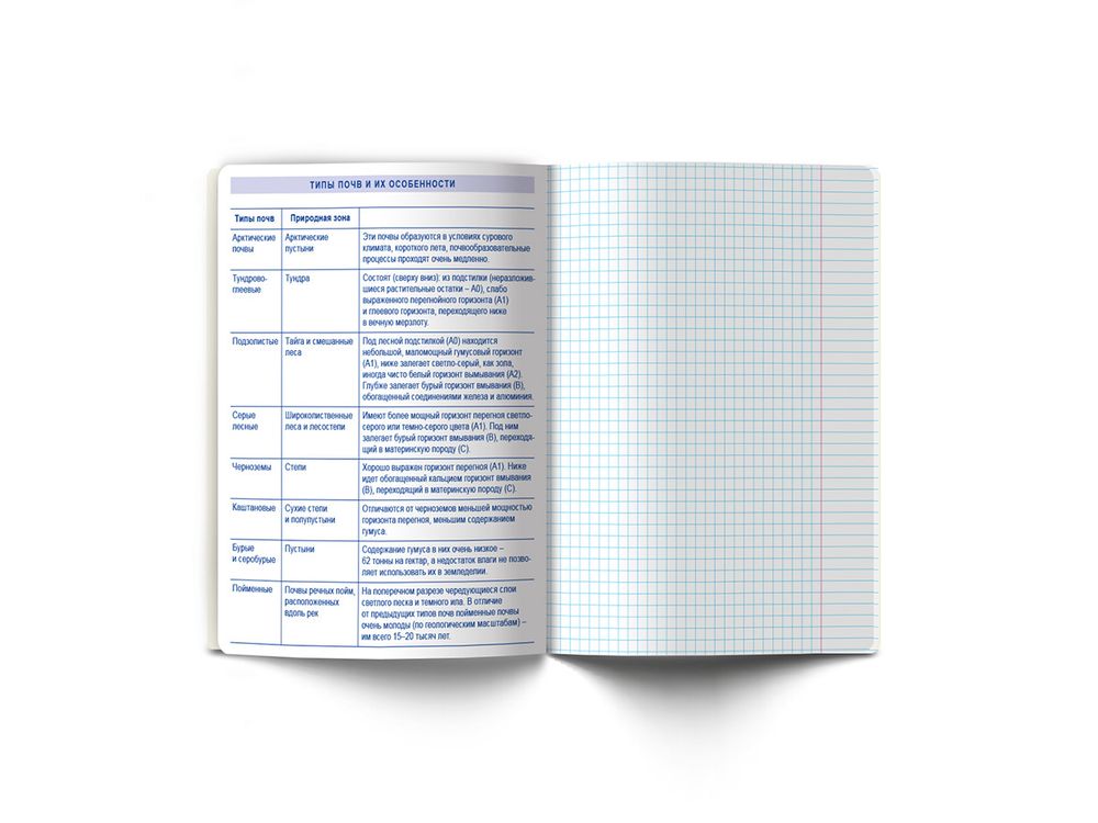 Тетрадь со справочным материалом Линия успеха, софт тач ламинация + тиснение фольгой, A5+ 48 л. на скобе 65 г/м², белизна 100%, 10 шт, клетка, 000573 География, Светоч 48ТПСК5_126_2_1