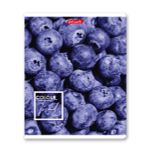 Тетрадь ученическая общая A5+ 48 л. на скобе, белизна 100%, 10 шт, клетка, 000308 Черничный рай, Светоч 48ТСК5_1_3_1