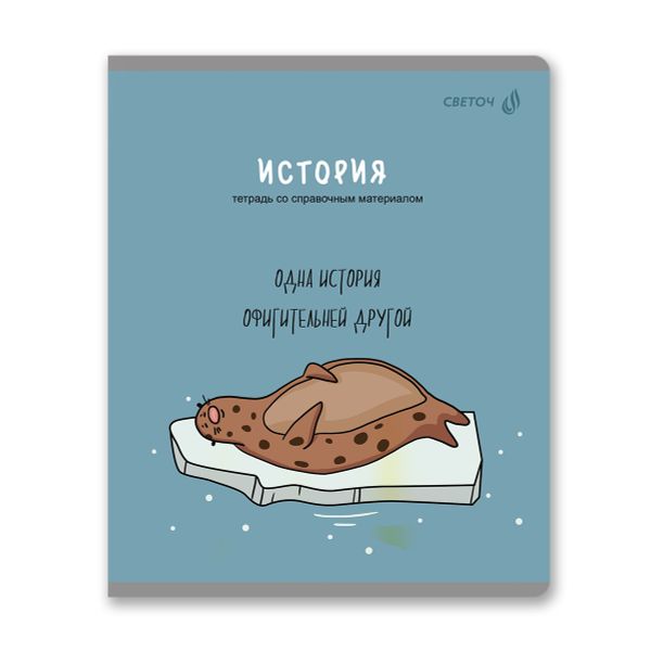 Комплект тетрадей со справочными материалами Большая перемена, выбор.лак, A5 48 л. 12 шт на скобе 65 г/м², белизна 100% 1 шт клетка/линия, 01884 12 предметов, Светоч Т295