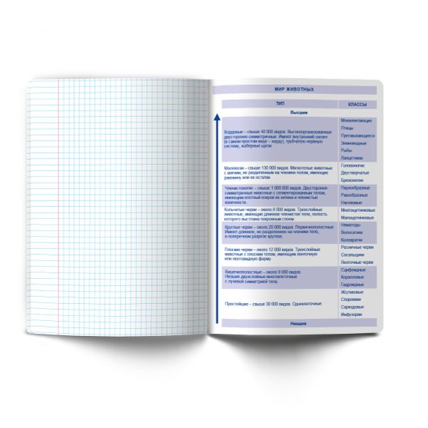 Тетрадь со справочным материалом Огромный мир внутри, A5 48 л. на скобе 60 г/м², белизна 90% 10 шт клетка, 01801 Огромный мир внутри Биология, Светоч Т278
