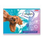 Альбом для рисования, глянц.ламинация, 100 г/м², A4 29х20.5 см, 32 л. на скобе, 5 шт, 000217 Живи не тужи, Светоч 32АЛСК4_3_3_9