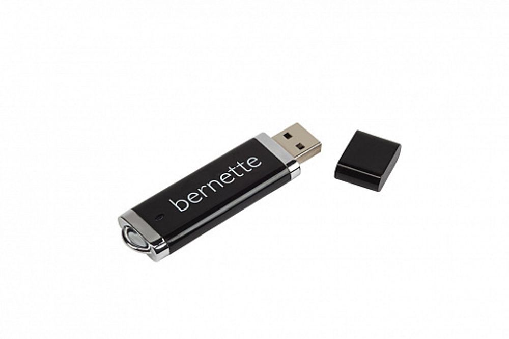 Накопитель информации Bernina USB-Stick 256 МВ, 502 060 08 87, 1 шт