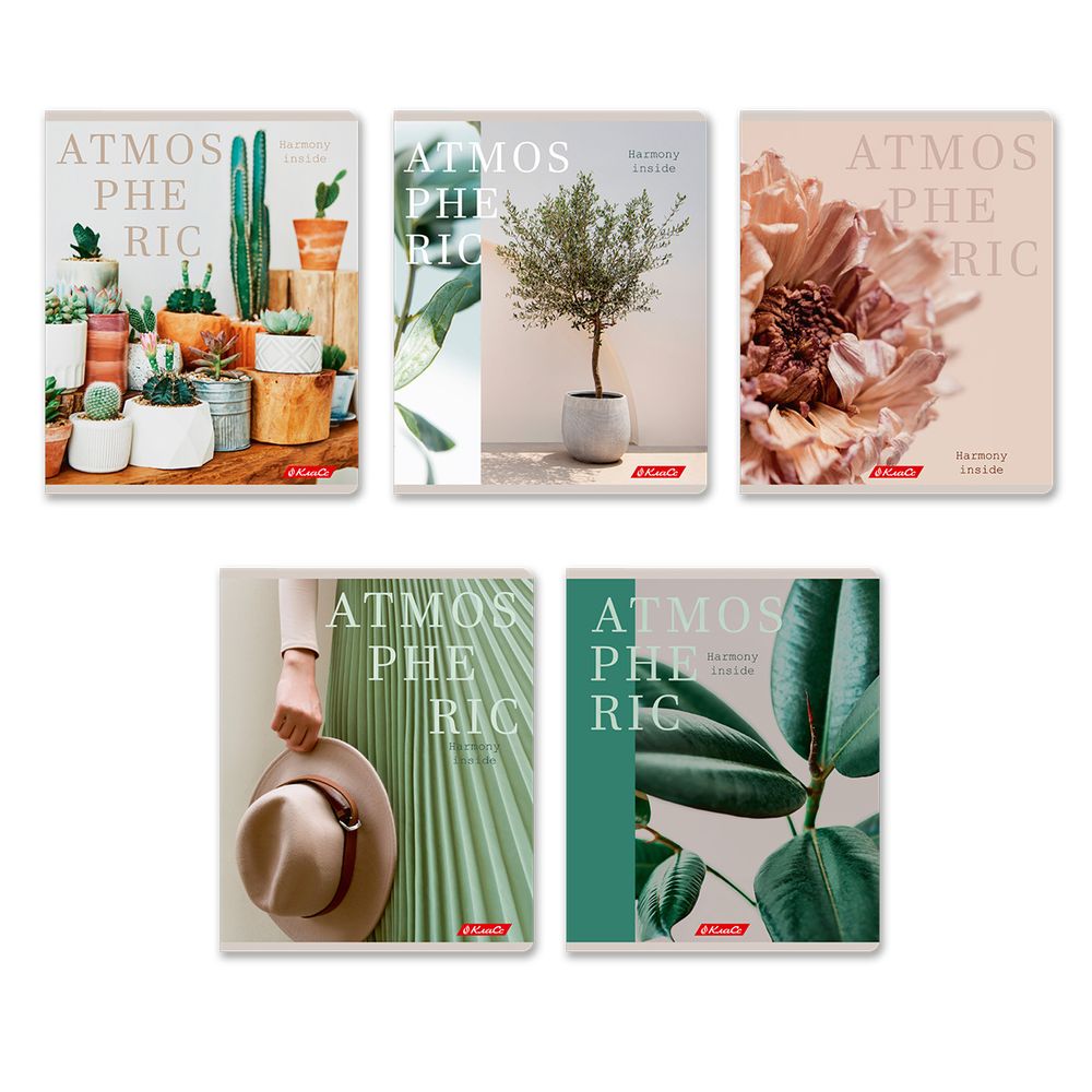 Тетрадь ученическая общая, A5+ 96 л. на скобе 60 г/м², белизна 100%, 5 шт, клетка в термоусадочной пленке, 000767 Атмосферная, Светоч 96ТЕТк-001