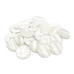 Пуговицы на ножке 32L (White (белый)), 36 шт /TOS/