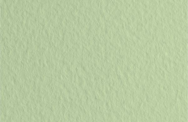 Бумага для пастели 160 г/м², 50х65 см, 10 листов, Verduzzo/св.зеленый, Fabriano