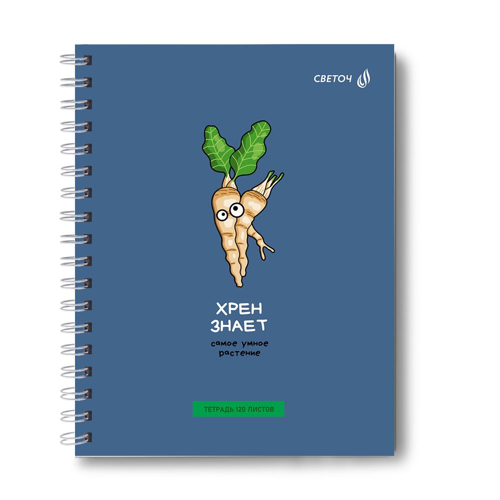 Тетрадь общая с твердой обложкой, матовая ламинация + выборочный лак A5 120 л. на гребне 65 г/м², белизна 100% 4 шт клетка, 01554 Алоэ, Светоч Т210