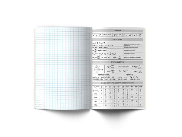 Комплект тетрадей со справочным материалом Время действовать, твин лак, A5+ 48 л. 12 шт, на скобе 65 г/м², белизна 100 %, клетка/линия, 01055 12 предметов, Светоч 48К39