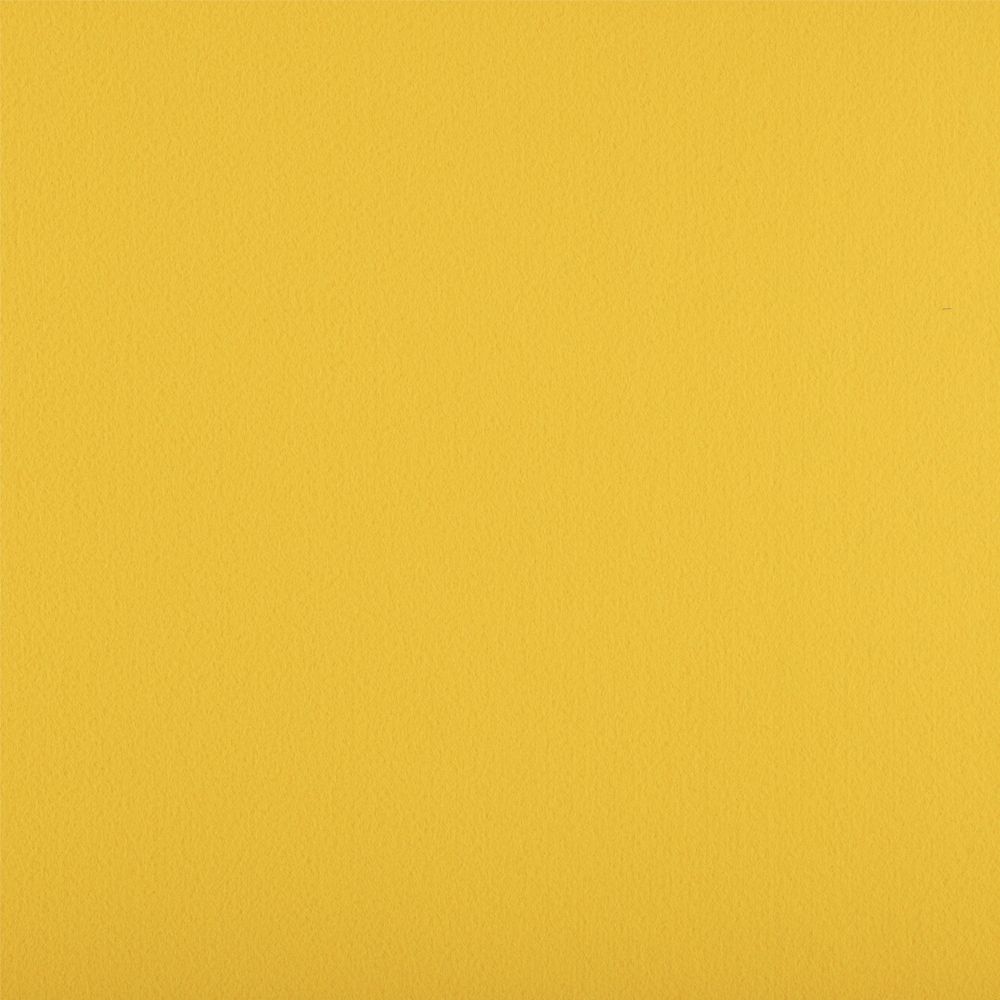 Фетр рулонный мягкий 1.5 мм, 110 см, рул. 30 метров, (FKS15), ST-50 люминесцентно-оранжево-желтый, Gamma Фетр рулонный мягкий 1.5 мм, 110 см, рул. 30 метров, (FKS15), ST-50 люминесцентно-оранжево-желтый, Gamma