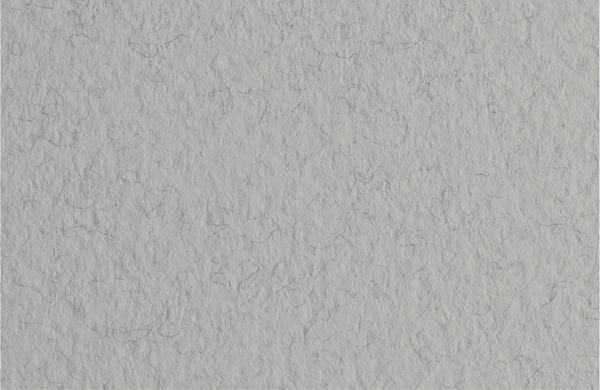 Бумага для пастели Tiziano 160 г/м², A3 29.7х42 см, 25 л, Nebbia/Серый холодный, Fabriano, 72942129