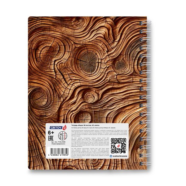 Тетрадь ученическая общая с двойной обложкой, A5 96 л. на гребне 65 г/м², белизна 100 %, 4 шт, клетка, 01209 Грани прекрасного, Светоч Т118