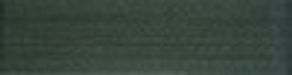 Нитки вышивальные вискоза Madeira Rayon №40, 1000 м, цв. 1370, 9841, 5 катушек