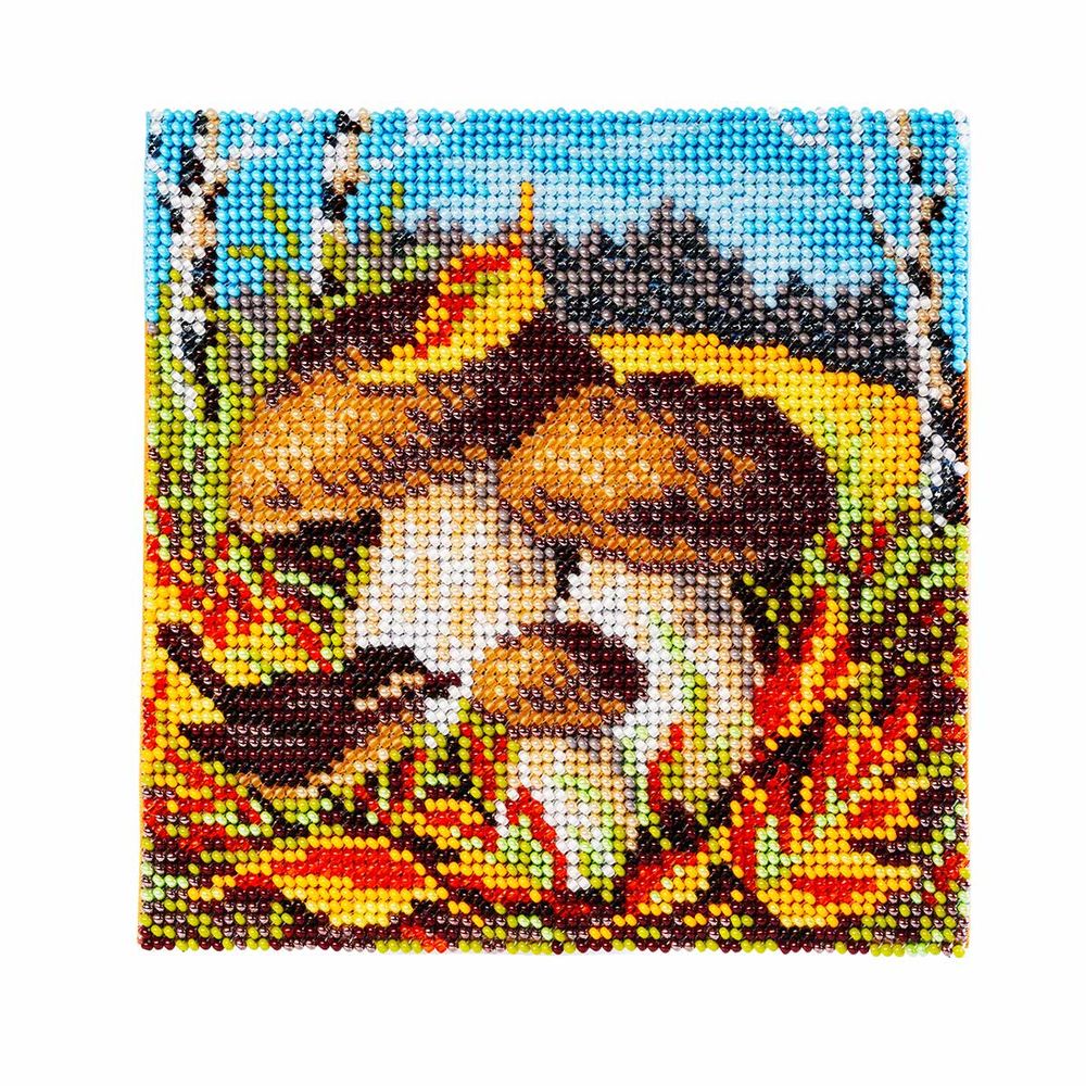 Набор для вышивания бисером Кроше (Радуга бисера) Т30_5206, Боровики 14х14см