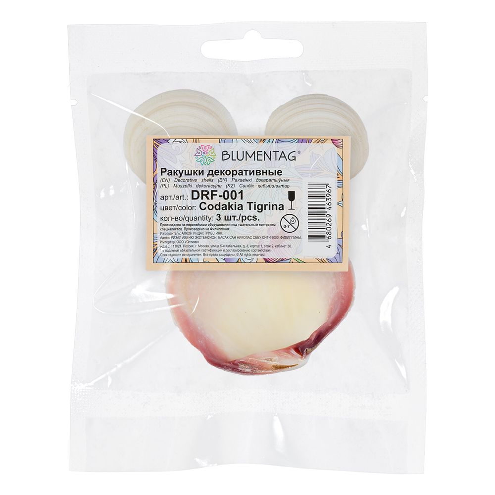 Ракушки декоративные, 3 шт, 8.2 см, Codakia Tigrina, Zlatka DRF-001