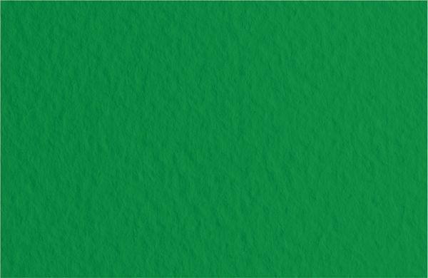 Бумага для пастели 160 г/м², 70х100 см, 10 листов, Biliardo/т.зеленый, Fabriano