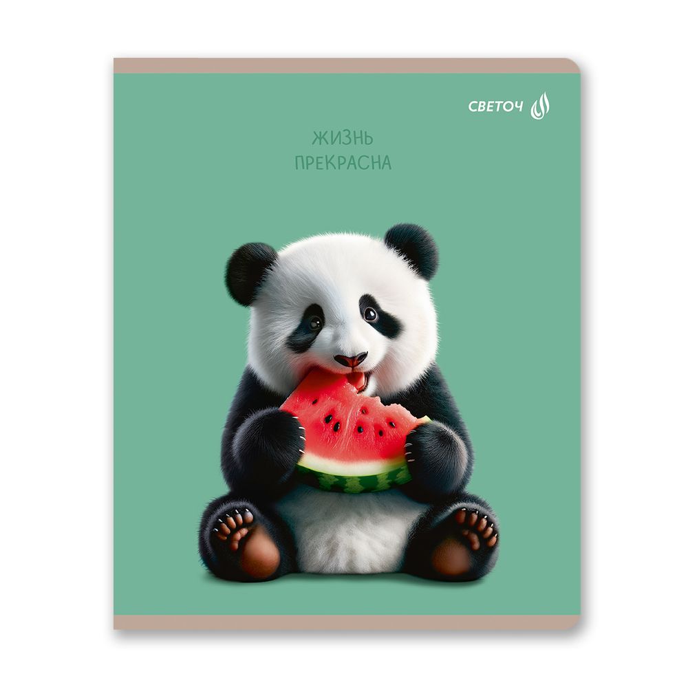 Тетрадь ученическая общая, глянцевая ламинация A5 80 л. на скобе 65 г/м², белизна 100% 5 шт клетка, 01527 Жизнь хороша!, Светоч Т203