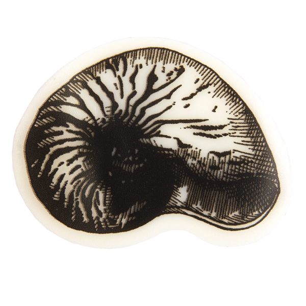 Штамп 5.8х5.8 см, 07 Морская раковина, Mr.Painter TSM-03