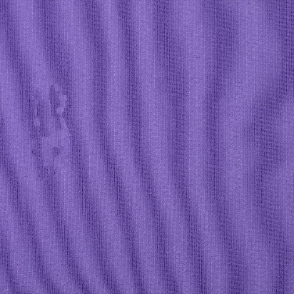 Бифлекс матовый 200 г/м², 150 см / 1 метр, WB.TBY-B-5003.1, цв.5003 лиловый