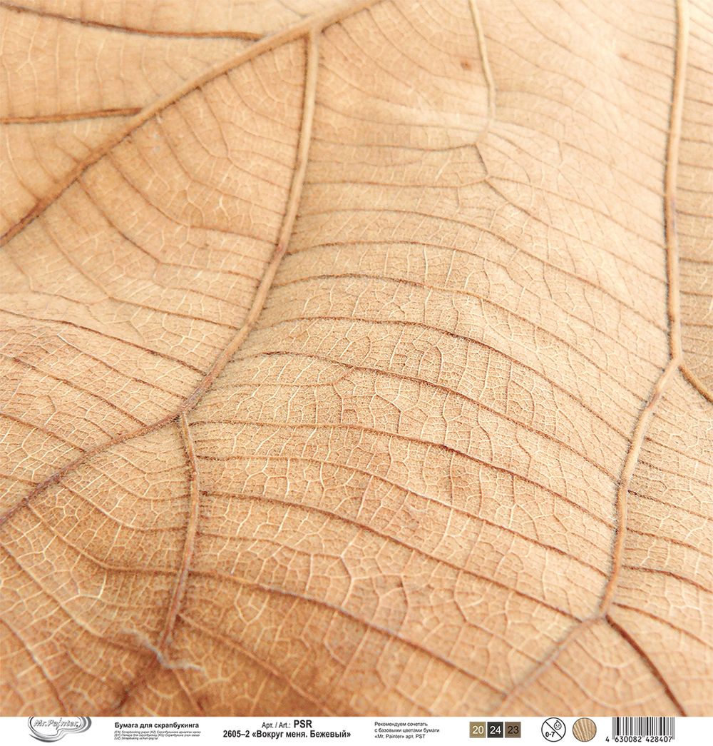 Бумага для скрапбукинга Вокруг меня. Бежевый 190 г/м², 30.5х30.5 см, 10 шт, 2, Mr.Painter PSR 2605