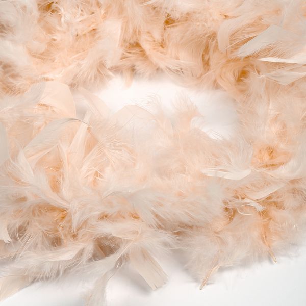 Боа из перьев 2 метра, FBY-50-122, цв.кремовый