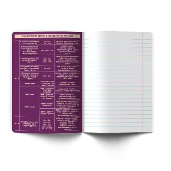 Тетрадь со справочным материалом Лёгким почерком, софт-тач ламинация, A5 48 л. на скобе 65 г/м², белизна 100% 10 шт линия, 01846 Лёгким почерком Русский язык, Светоч Т285