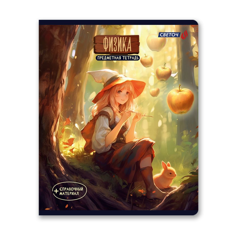 Тетрадь со справочным материалом Ковен тайных знаний, A5+ 48 л. на скобе 65 г/м², белизна 100%, 10 шт, клетка, 00859 Физика, Светоч 48Т7