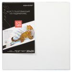 Холст на подрамнике грунтованный 20х20 см, 410 г/м², 2 шт, мелкозернистый, Аква-колор IZO-OLFG-2020