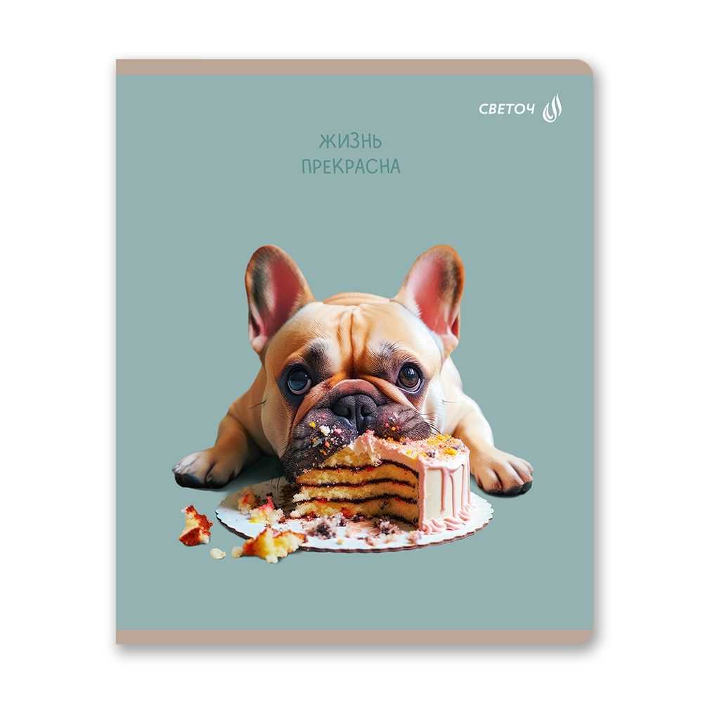 Тетрадь ученическая общая, глянцевая ламинация A5 80 л. на скобе 65 г/м², белизна 100% 5 шт клетка, 01527 Жизнь хороша!, Светоч Т203