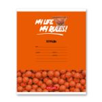 Тетрадь ученическая школьная A5+ 24 л. на скобе, белизна 100% 30 шт, клетка, 000372 Мячики, Светоч 24ТСКд5_1_3_1