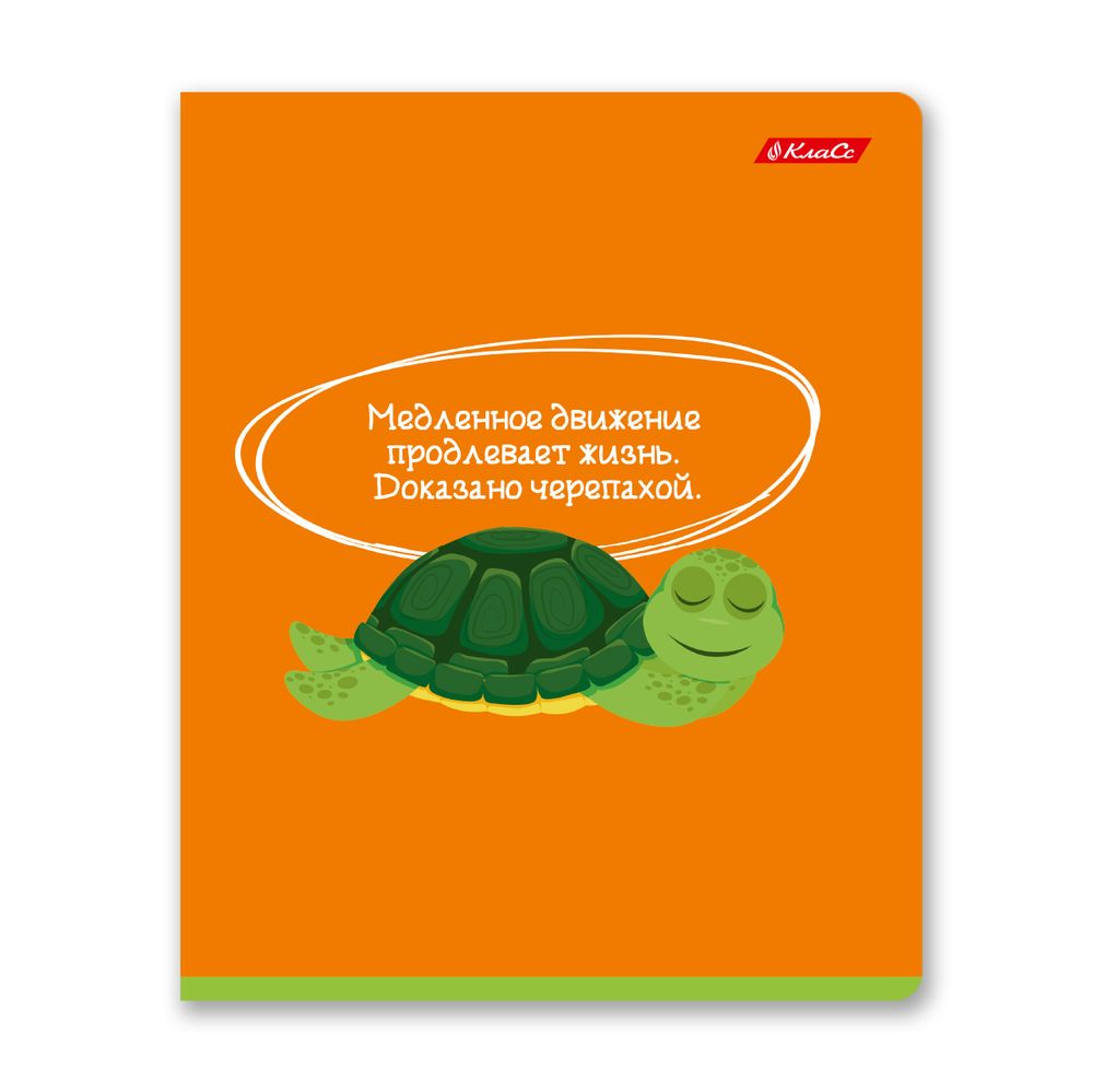 Тетрадь ученическая общая, A5+ 40 л. на скобе 65 г/м², белизна 100%, 10 шт, клетка в термоусадочной пленке, 000475 Слово не воробей, Светоч 40ТСК5_0_2_1