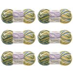 Пряжа Люблю вязать Карамель / уп.6 мот. по 50 г, 150 м, 03 секционный