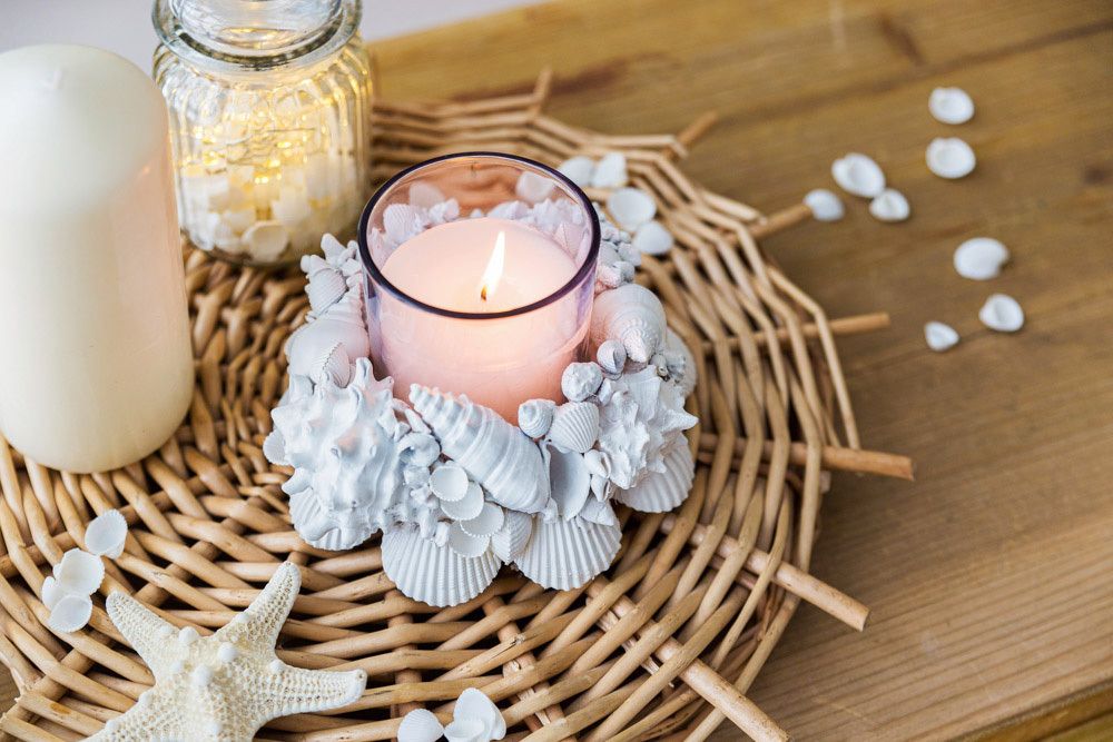 Ракушки декоративные, 3 шт, 6.3 см, Strombus Canarium, Zlatka DRF-017