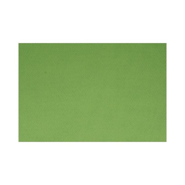 Бумага для пастели 160 г/м², А4, 50 листов, Pistacchio/Фисташковый, Fabriano