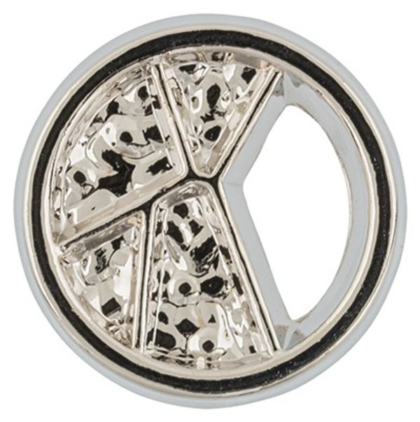 Пуговицы металл 10 мм, 6 шт, 04 никель, Blitz MB 0265